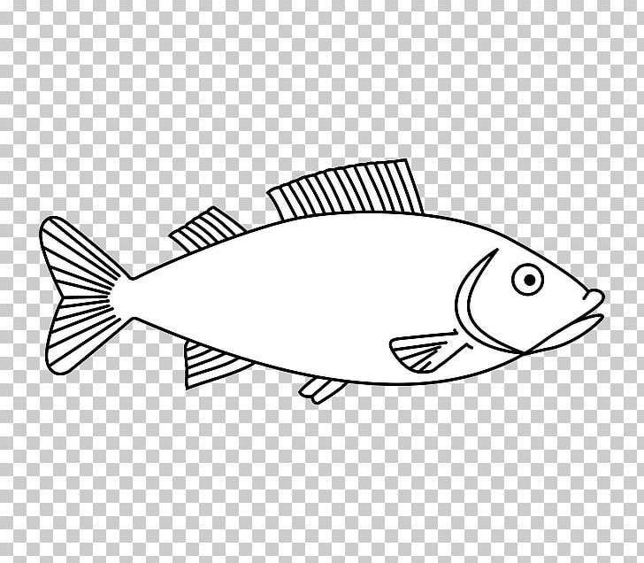 Drawing Fish Comet PNG, Clipart, Animals, Artwork, Black And White, Cod, Coloring Book Free PNG Download