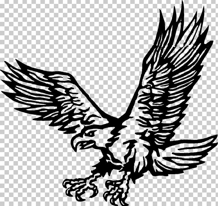 Drawing Golden Eagle Coloring Book PNG, Clipart, Adult, Aigle, Animal, Animals, Bald Eagle Free PNG Download