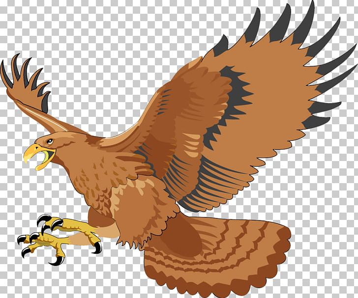 Sport PNG, Clipart, Accipitriformes, Animals, Balloon Cartoon, Beak, Bird Free PNG Download