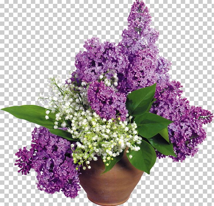 Lilac Flower Desktop Floral Design PNG, Clipart, Annual Plant, Color, Cut Flowers, Desktop Wallpaper, Floral Design Free PNG Download