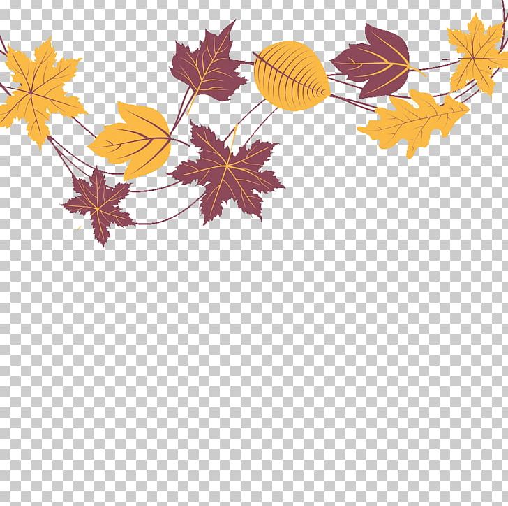 Maple Leaf PNG, Clipart, Autumn Leaves, Banana Leaves, Branch, Download, Encapsulated Postscript Free PNG Download