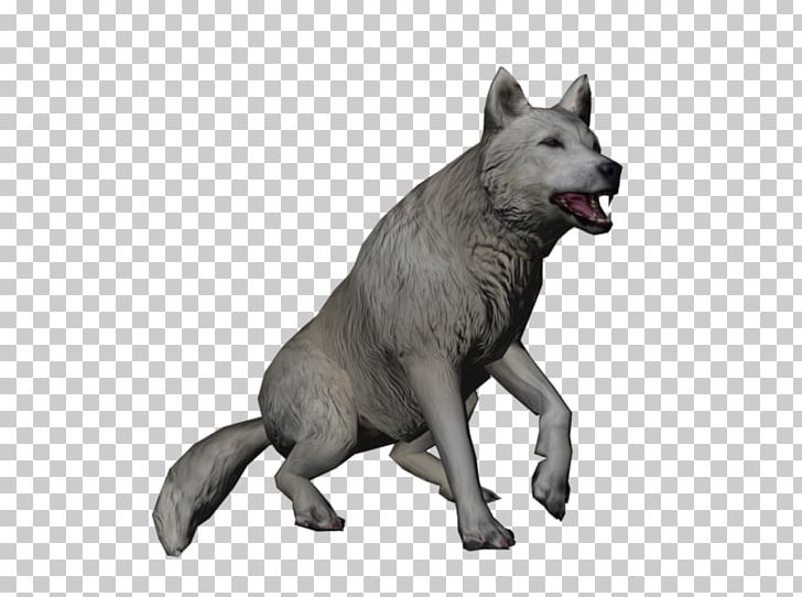 Saarloos Wolfdog Kunming Wolfdog Czechoslovakian Wolfdog Arctic Hare Alaskan Tundra Wolf PNG, Clipart, Alaskan Tundra Wolf, Arctic, Arctic Hare, Arctic Wolf, Canis Lupus Tundrarum Free PNG Download