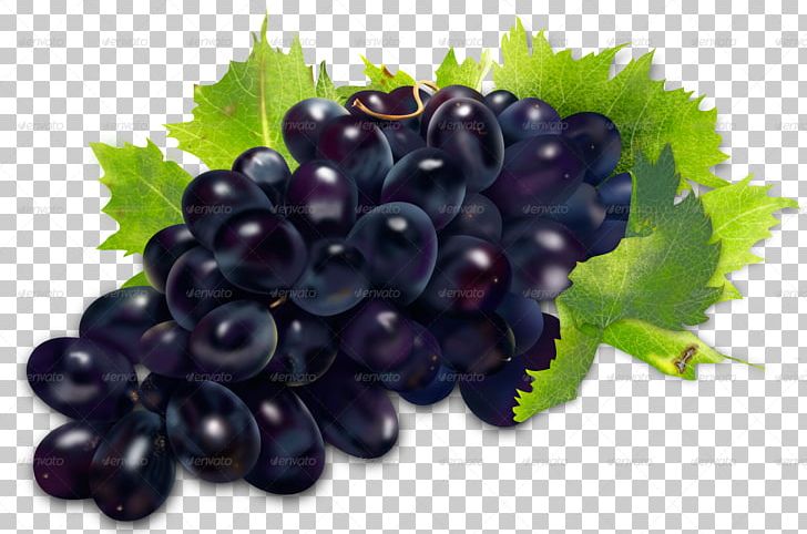 Sultana Zante Currant Grapevines Seedless Fruit PNG, Clipart, Berry, Bilberry, Blackcurrant, Blueberry, Food Free PNG Download