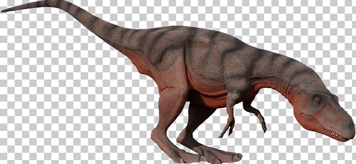 Tyrannosaurus Albertosaurus Moab Giants Dinosaur PNG, Clipart, Albertosaurus, Animal Figure, Celebrity, Com, Dinosaur Free PNG Download