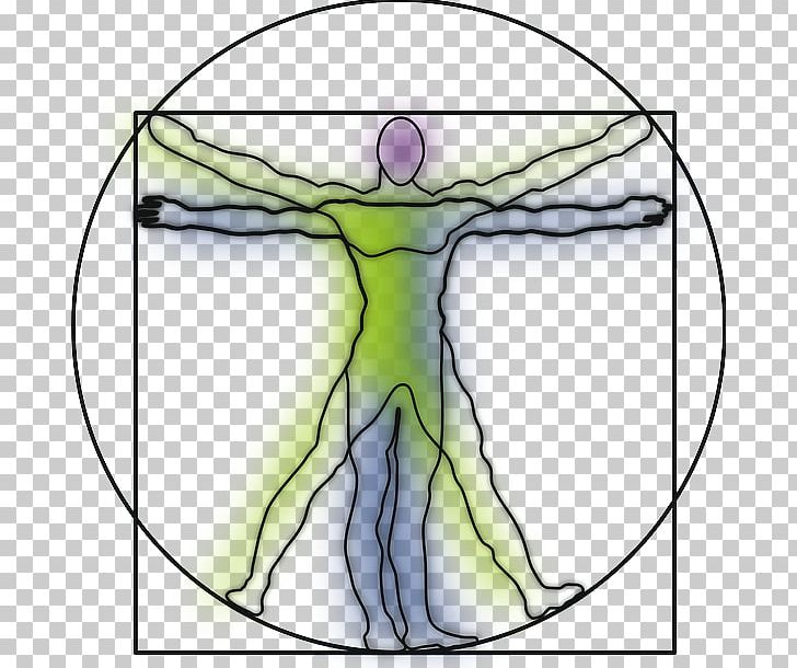 Vitruvian Man Art PNG, Clipart, Anatomy, Angle, Area, Arm, Art Free PNG Download