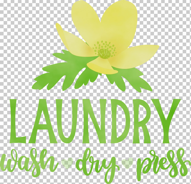 Floral Design PNG, Clipart, Biology, Cut Flowers, Dry, Floral Design, Flower Free PNG Download