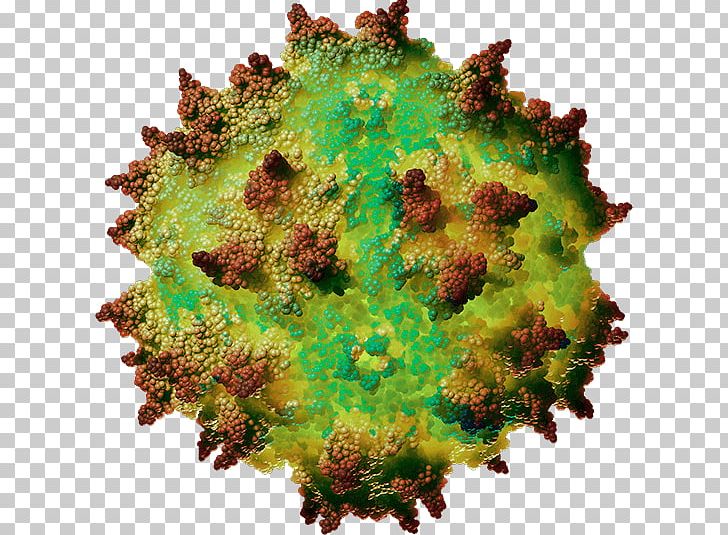 Adeno-associated Virus Gene Therapy Capsid Spinal Muscular Atrophy AveXis PNG, Clipart, Adenoassociated Virus, Avexis, Capsid, Cell, Circle Free PNG Download