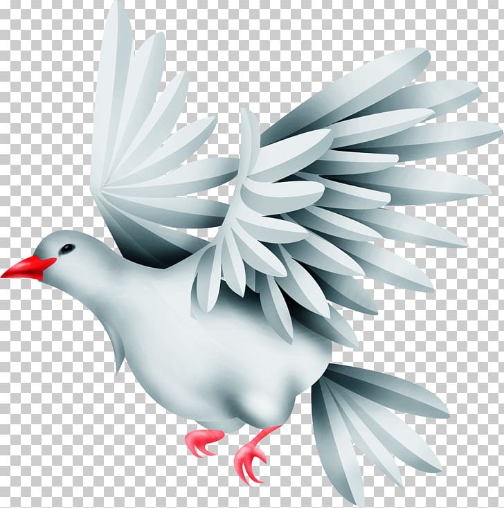 Bird Columbidae Typical Pigeons PNG, Clipart, Animals, Beak, Bird, Columbidae, Drawing Free PNG Download