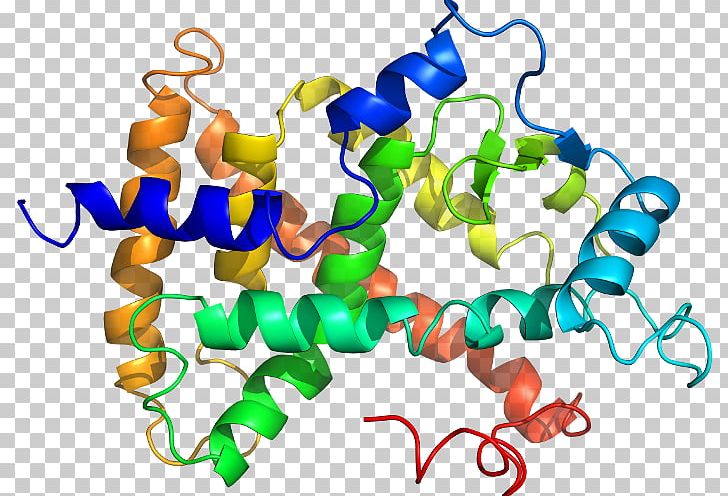 Enzyme Lactoperoxidase Metabolism Biochemistry Protein PNG, Clipart, 123, Activate, Alpha, Antimicrobial, Antioxidant Free PNG Download