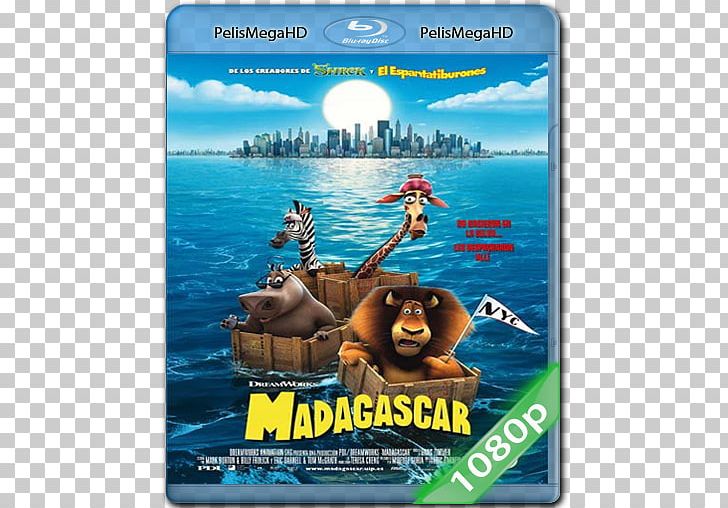 Marty Melman Alex Madagascar Film PNG, Clipart,  Free PNG Download
