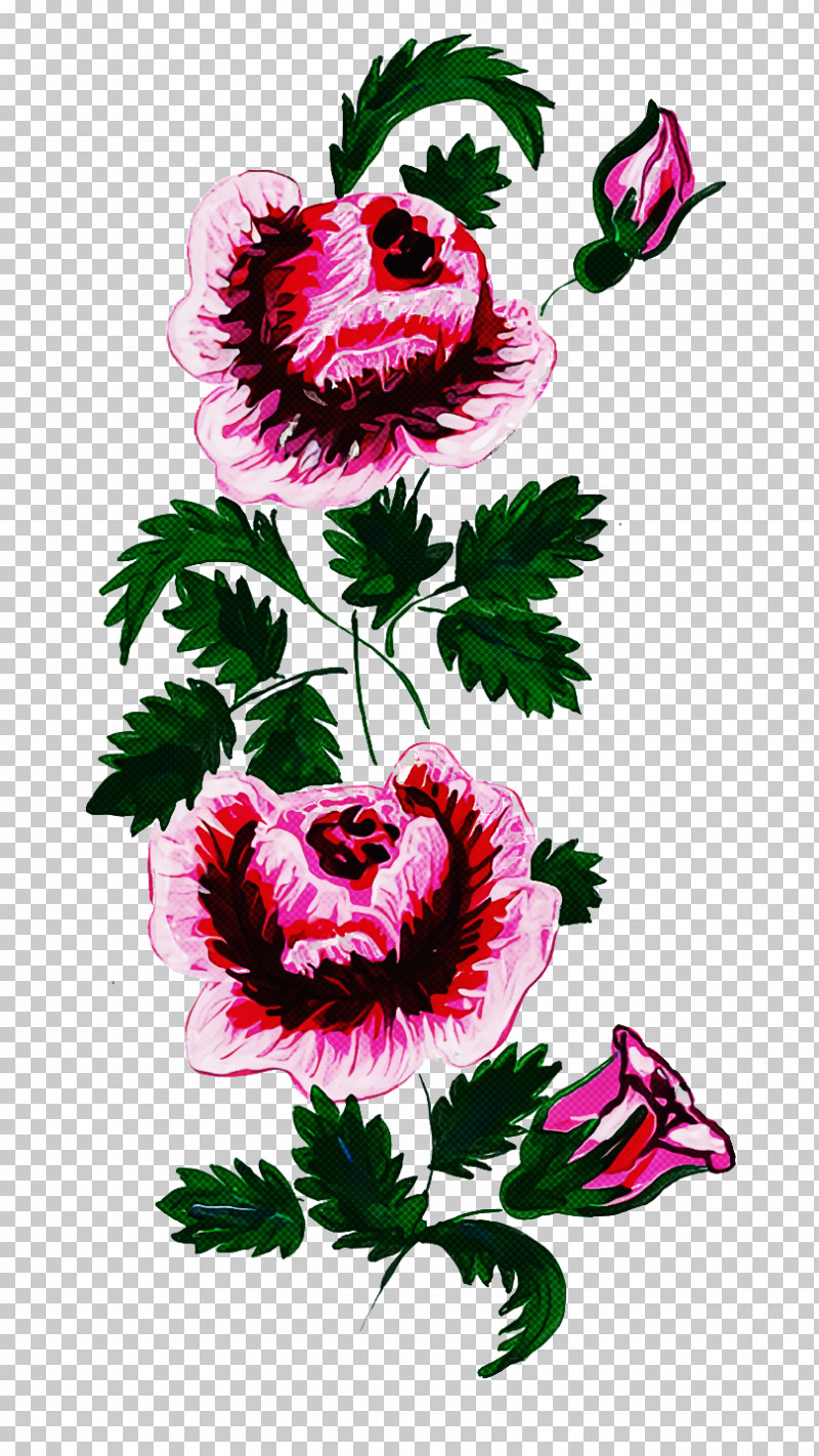 Floral Design PNG, Clipart, Carnation, Chrysanthemum, Cut Flowers, Floral Design, Flower Free PNG Download