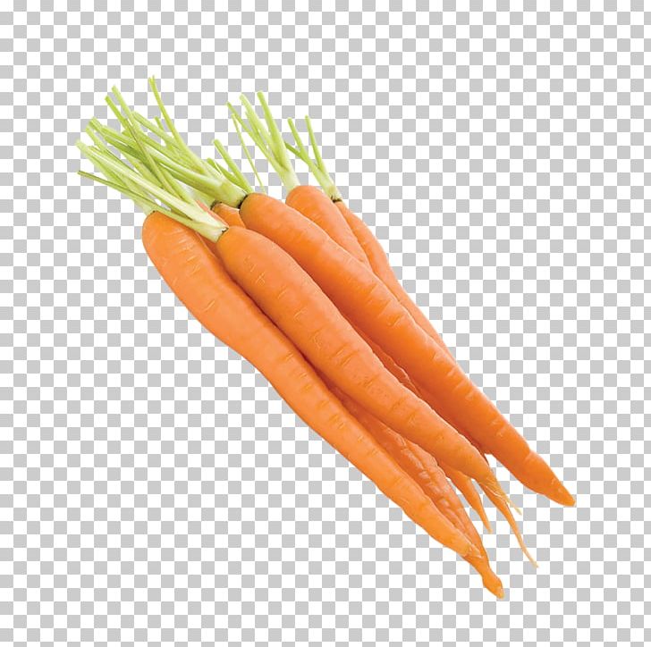Baby Carrot Vegetable PNG, Clipart, Arracacia Xanthorrhiza, Baby Carrot, Bunch Of Carrots, Carrot, Carrot Cartoon Free PNG Download
