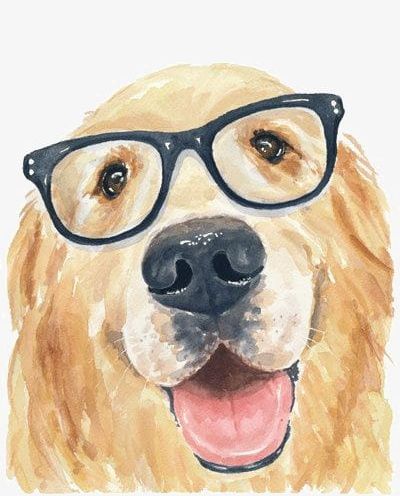 Golden Dog PNG, Clipart, Big, Big Dog, Black Rimmed, Black Rimmed Glasses, Cartoon Free PNG Download