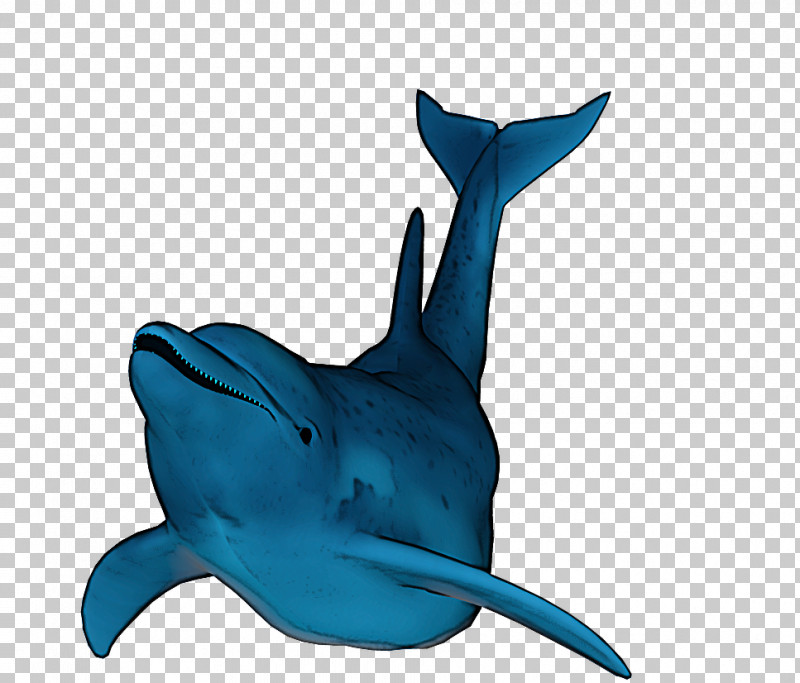 Shark PNG, Clipart, Bottlenose Dolphin, Cetacea, Common Dolphins, Dolphin, Fin Free PNG Download