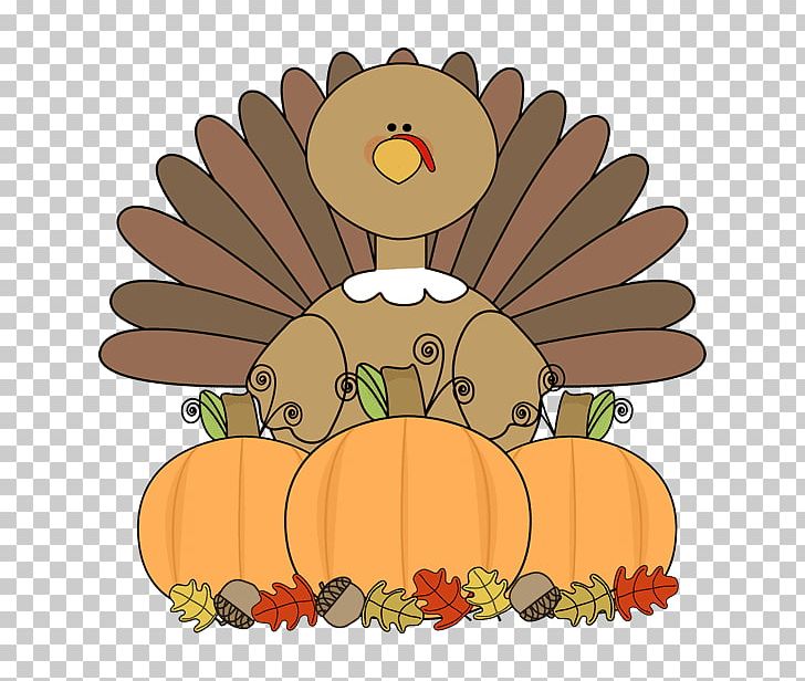 Turkey Thanksgiving Pilgrim PNG, Clipart, Baby Girl, Bird, Blog, Cartoon, Cornucopia Free PNG Download