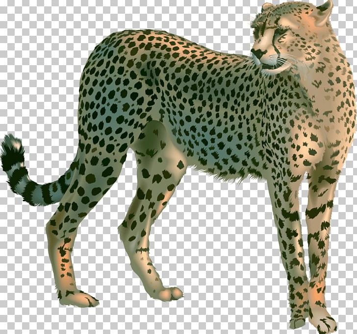 Cheetah Leopard Portable Network Graphics Lion PNG, Clipart, Animal Figure, Animals, Big Cats, Carnivoran, Cat Like Mammal Free PNG Download