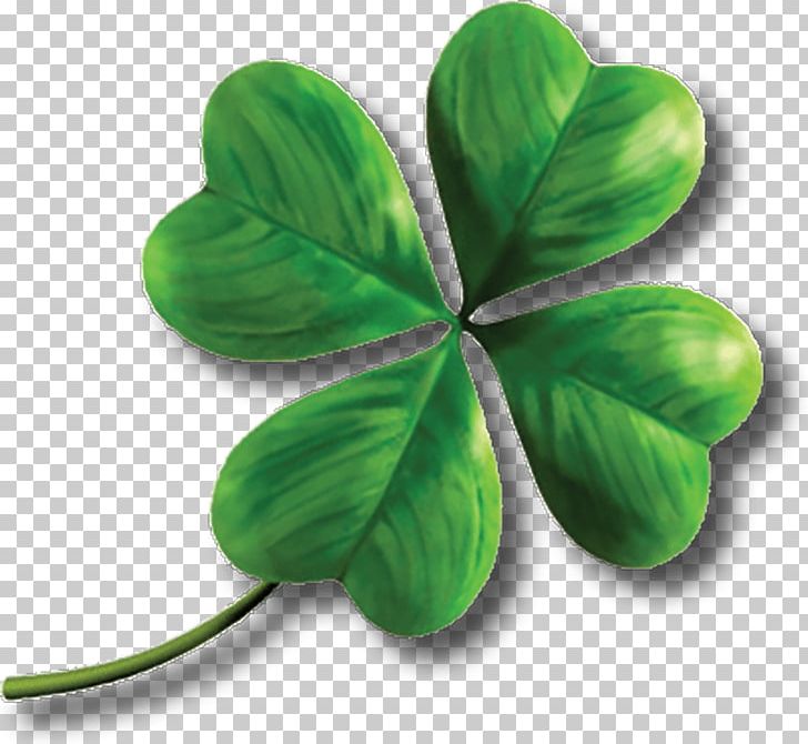 Clover Shamrock PNG, Clipart, Bmp File Format, Clip Art, Clover, Computer Icons, Display Resolution Free PNG Download