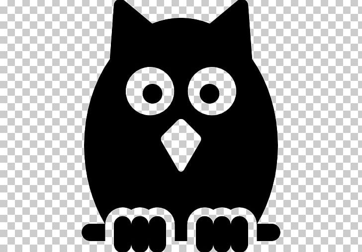 Owl Computer Icons Whiskers PNG, Clipart, Animals, Barn Owl, Beak, Bird, Black Free PNG Download