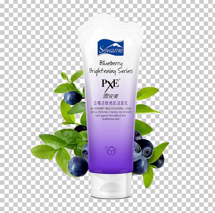 Smoothie Blueberry Axe7axed Palm Fruit PNG, Clipart, Anthocyanin, Axe7axed Palm, Berry, Bilberry, Blue Free PNG Download