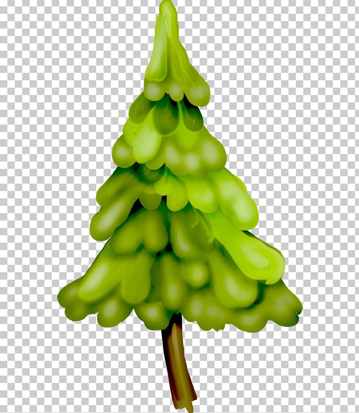 Spruce Christmas Ornament Vegetable Christmas Tree Fir PNG, Clipart, Christmas, Christmas Decoration, Christmas Ornament, Christmas Tree, Conifer Free PNG Download
