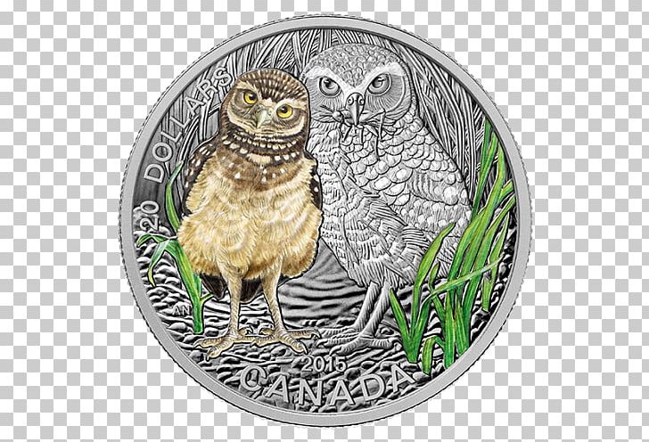 Canada Coin Royal Canadian Mint Silver PNG, Clipart, Animal, Baby, Baby Animals, Beak, Bird Free PNG Download