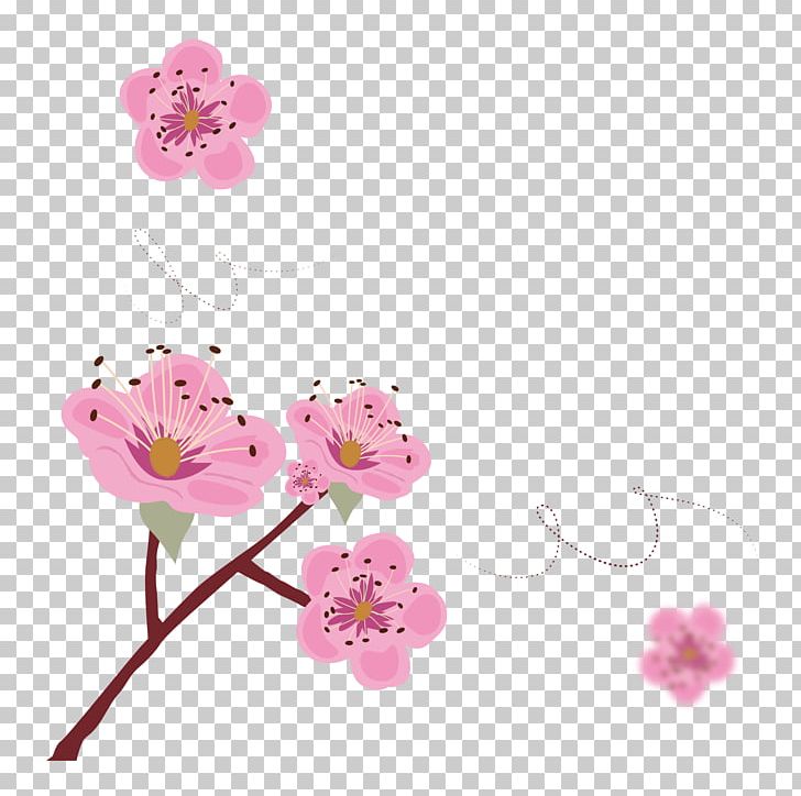 Cherry Blossom Poster Illustration PNG, Clipart, Blossom, Blossoms Vector, Cherry, Cherry Blossoms, Flower Free PNG Download