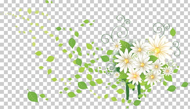 Flower Raster Graphics PNG, Clipart, Blossom, Branch, Chamaemelum Nobile, Chamomile, Chrysanths Free PNG Download