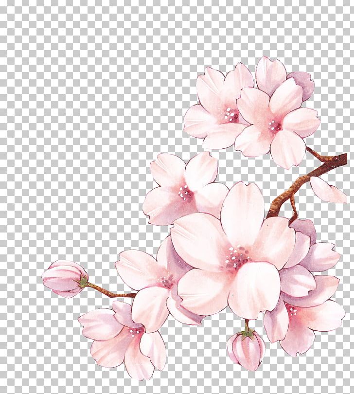 Paper Cherry Blossom Watercolor Painting Flower PNG, Clipart, Art, Avatan, Avatan Plus, Blossom, Branch Free PNG Download