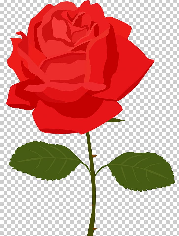 Rose Desktop PNG, Clipart, Blog, China Rose, Cut Flowers, Desktop Wallpaper, Document Free PNG Download