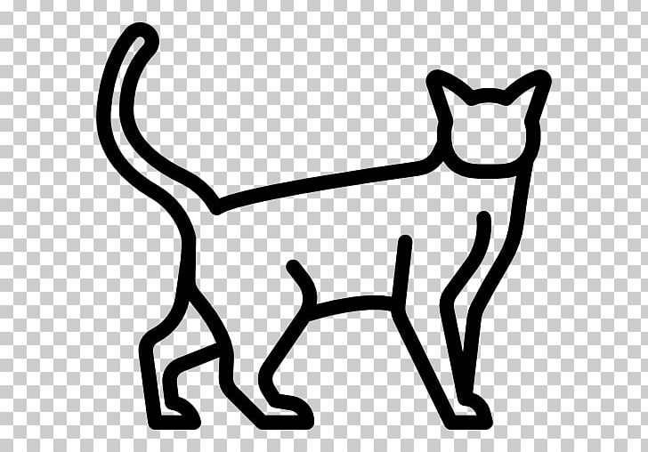 Snowshoe Cat Kitten Dog Cat Breed PNG, Clipart, Animals, Area, Black, Black And White, Black Cat Free PNG Download