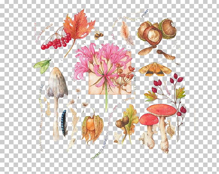 Botanical Illustration Painter Watercolor Painting Botany Illustration PNG, Clipart, Artist, Drawing, Flora, Floral Design, Floristry Free PNG Download