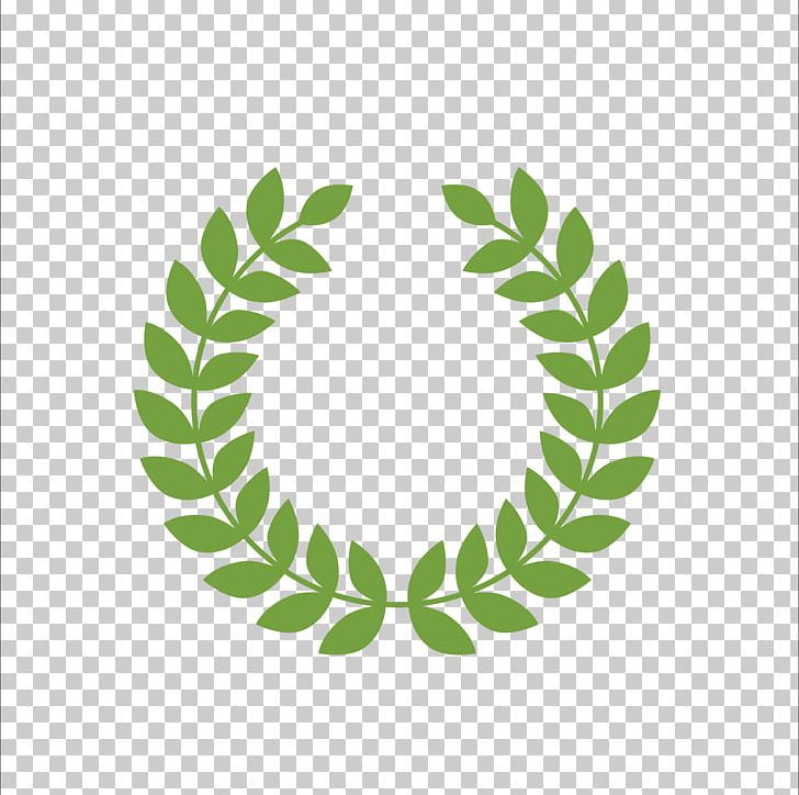 T-shirt Laurel Wreath PNG, Clipart, Branch, Branches, Circle, Creative, Creative Olive Branch Free PNG Download