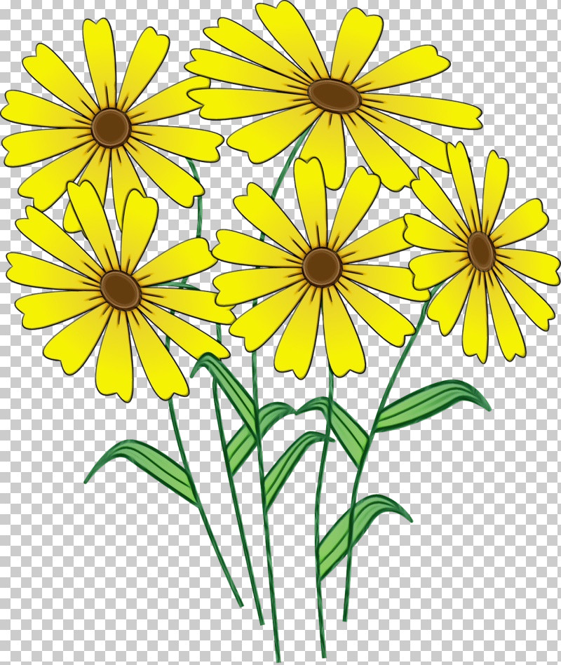 Flower Yellow Plant Petal Wildflower PNG, Clipart, Chamomile, Cut Flowers, Daisy Family, Flower, Herbaceous Plant Free PNG Download