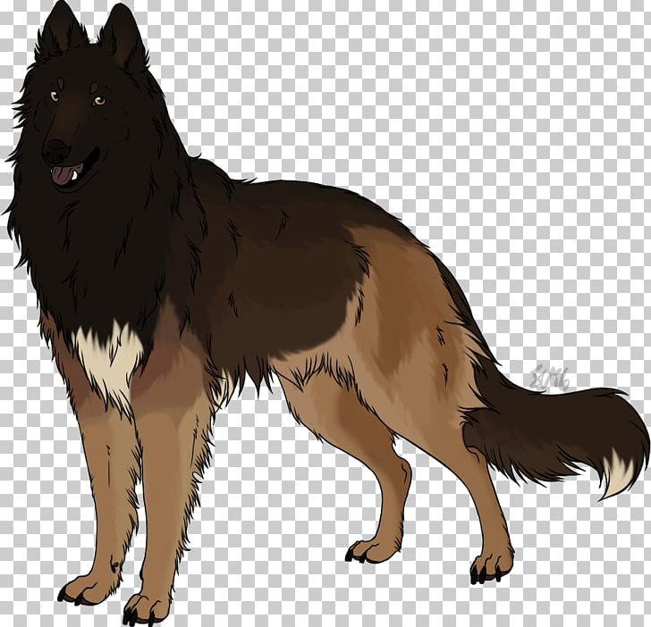 Dog Breed Tervuren German Shepherd Belgian Shepherd Shiloh Shepherd Dog PNG, Clipart, Belgian Shepherd, Breed, Carnivoran, Dog, Dog Breed Free PNG Download