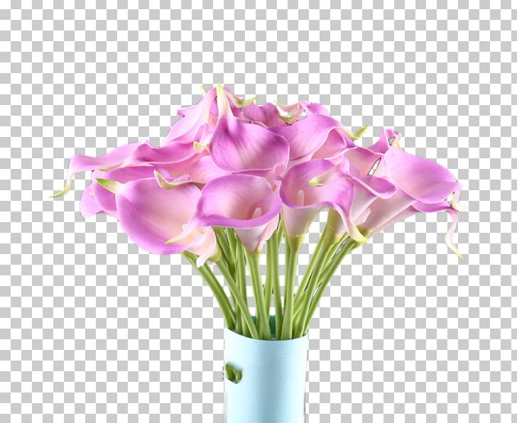 Flower Arum-lily PNG, Clipart, Albom, Artificial Flower, Calla, Cut Flowers, Encapsulated Postscript Free PNG Download
