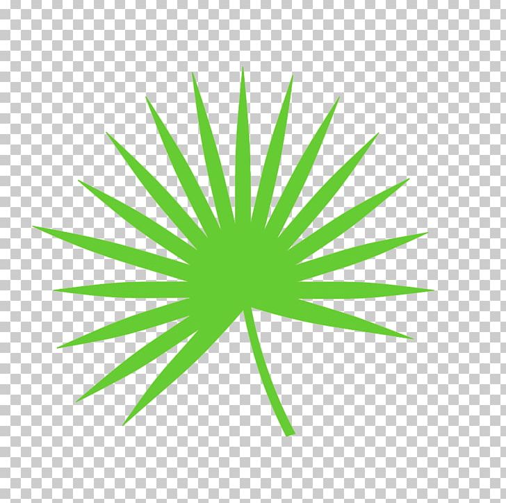 Leaf Green Graphics Plant Stem Font PNG, Clipart, Circle, Grass, Green, Leaf, Line Free PNG Download
