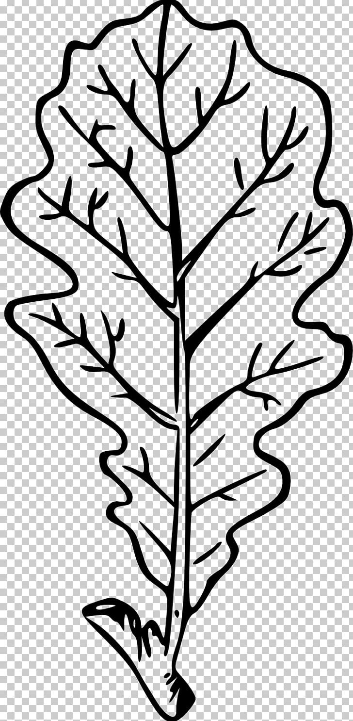 Leaf Line Art Plant Stem Drawing PNG, Clipart, Artwork, Black And White, Branch, Drawing, Flora Free PNG Download