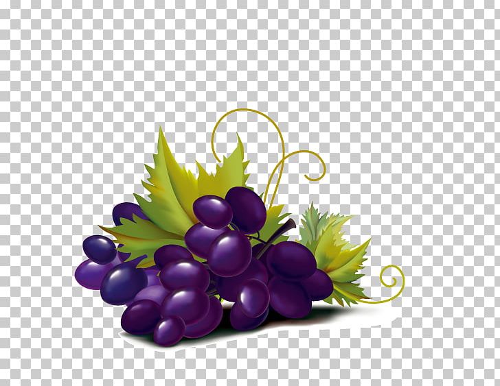 Violet Grape Color Illustration PNG, Clipart, Art, Color, Drawing, Floral Design, Flowering  Free PNG Download