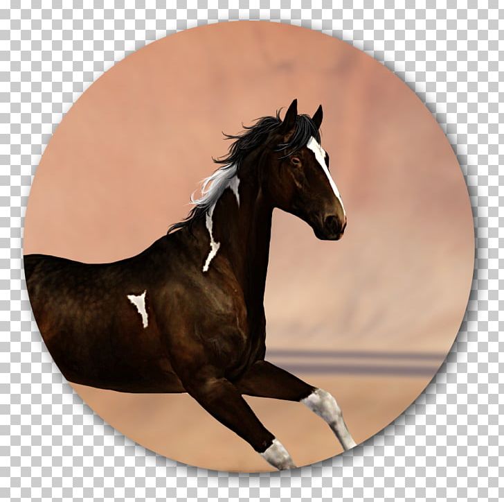 Mustang Rein Mane Stallion Mare PNG, Clipart, Bornlovely, Bridle, Florida Kraze Krush Soccer Club, Halter, Harness Racing Free PNG Download