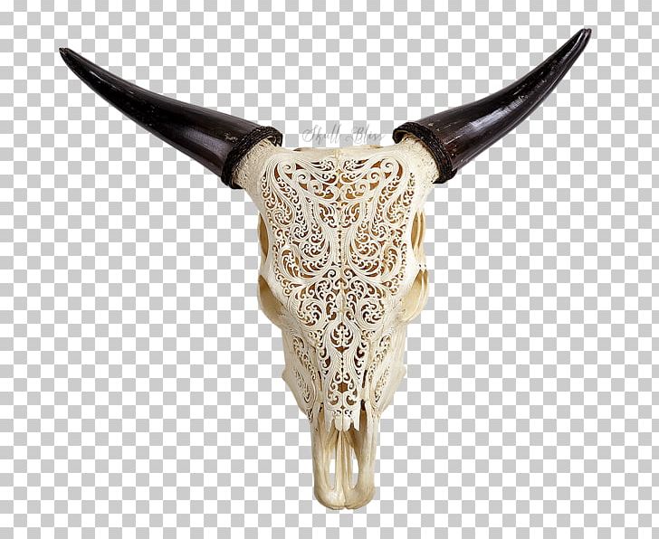 Animal Skulls Texas Longhorn Ox PNG, Clipart, Animal, Animal Skulls, Bison, Bliss, Bone Free PNG Download
