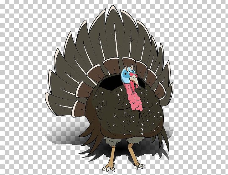 Domesticated Turkey Illustration Beak Feather PNG, Clipart, Beak, Bird, Domesticated Turkey, Domestication, Feather Free PNG Download