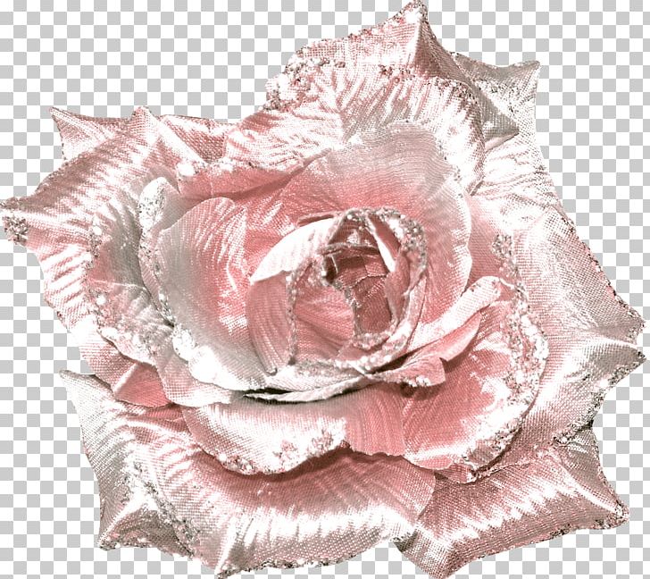 Garden Roses Cut Flowers Centifolia Roses Petal PNG, Clipart, Blog, Centifolia Roses, Cut Flowers, Data, Flower Free PNG Download