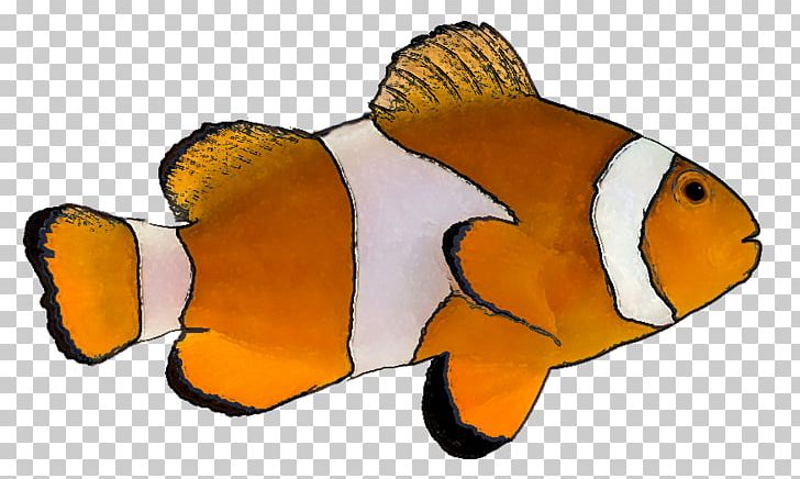 Tropical Fish Goldfish PNG, Clipart, Animation, Aquarium, Cartoon, Clownfish, Drawing Free PNG Download