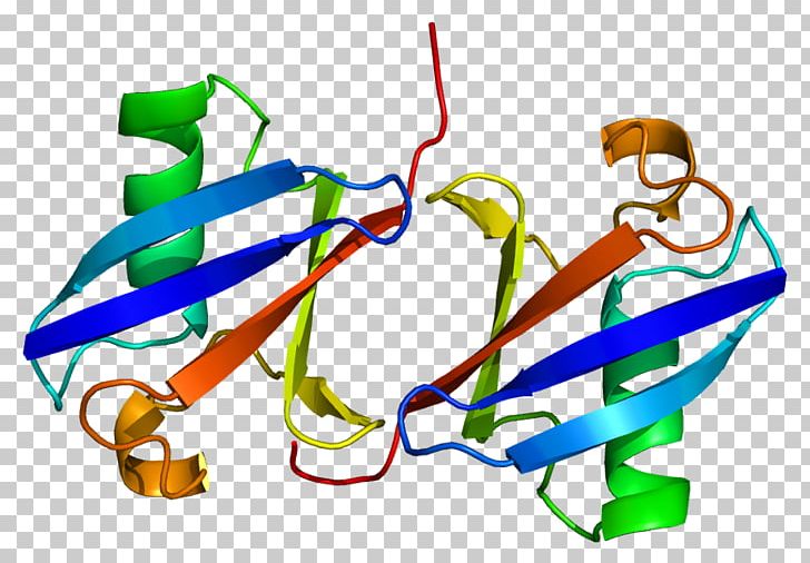 Ubiquitin C Ubiquitin B Ubiquitin A-52 Residue Ribosomal Protein Fusion Product 1 PNG, Clipart, Area, Conserved Sequence, Gene, Line, Miscellaneous Free PNG Download