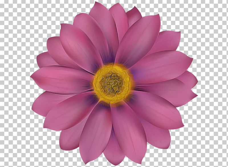 Artificial Flower PNG, Clipart, African Daisy, Annual Plant, Artificial Flower, Aster, Barberton Daisy Free PNG Download