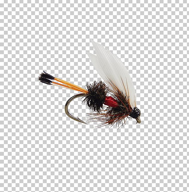 Artificial Fly Fly Fishing Hare's Ear Royal Coachman Spoon Lure PNG, Clipart,  Free PNG Download