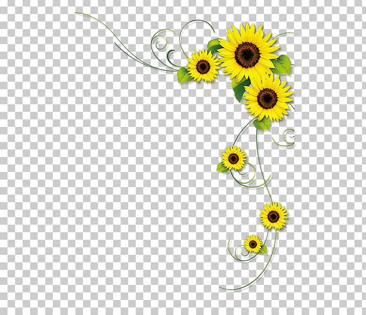 Common Sunflower PNG, Clipart, Adobe Illustrator, Daisy Family, Encapsulated Postscript, Flower, Flower Arranging Free PNG Download