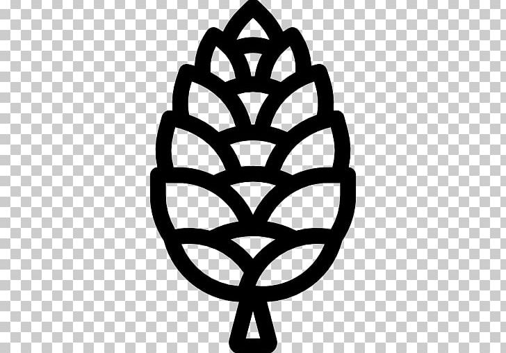 Conifer Cone Computer Icons Pine PNG, Clipart, Black And White, Circle, Computer Icons, Cone, Conifer Cone Free PNG Download