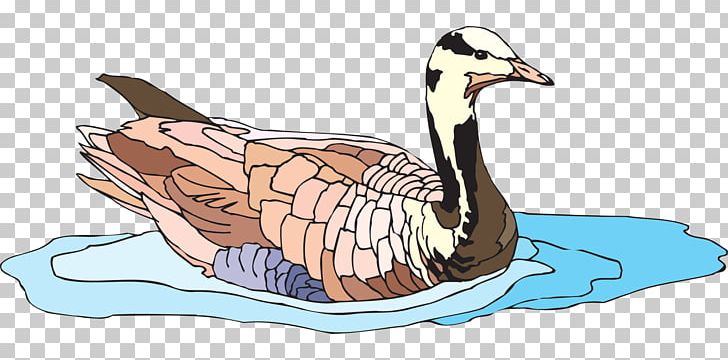 Duck Goose Water Bird PNG, Clipart, Anatidae, Animals, Artwork, Beak, Bird Free PNG Download