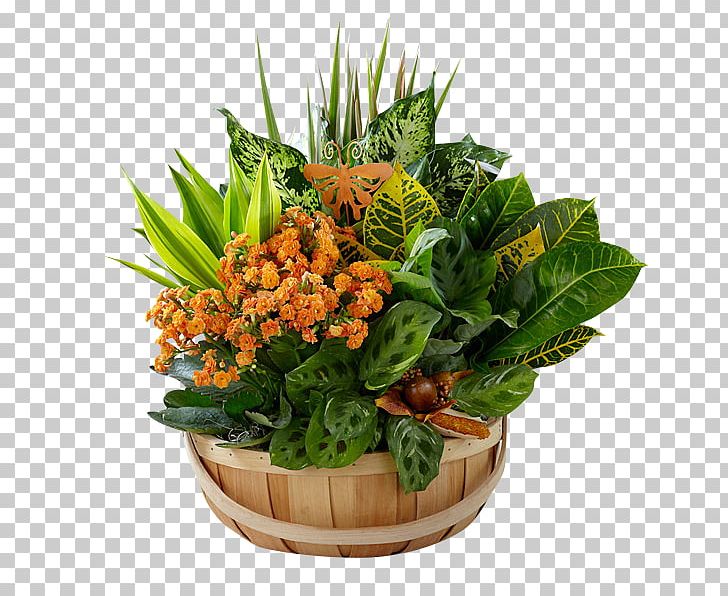 Garden Design Flower Basket Plant PNG, Clipart, Autumn, Cactus Garden, Cut Flowers, Dish, Dish Network Free PNG Download